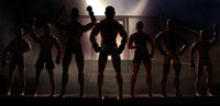 UFC Action Figures Accessories